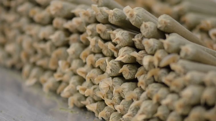 Millennials Cannabis Pre-Rolls Report