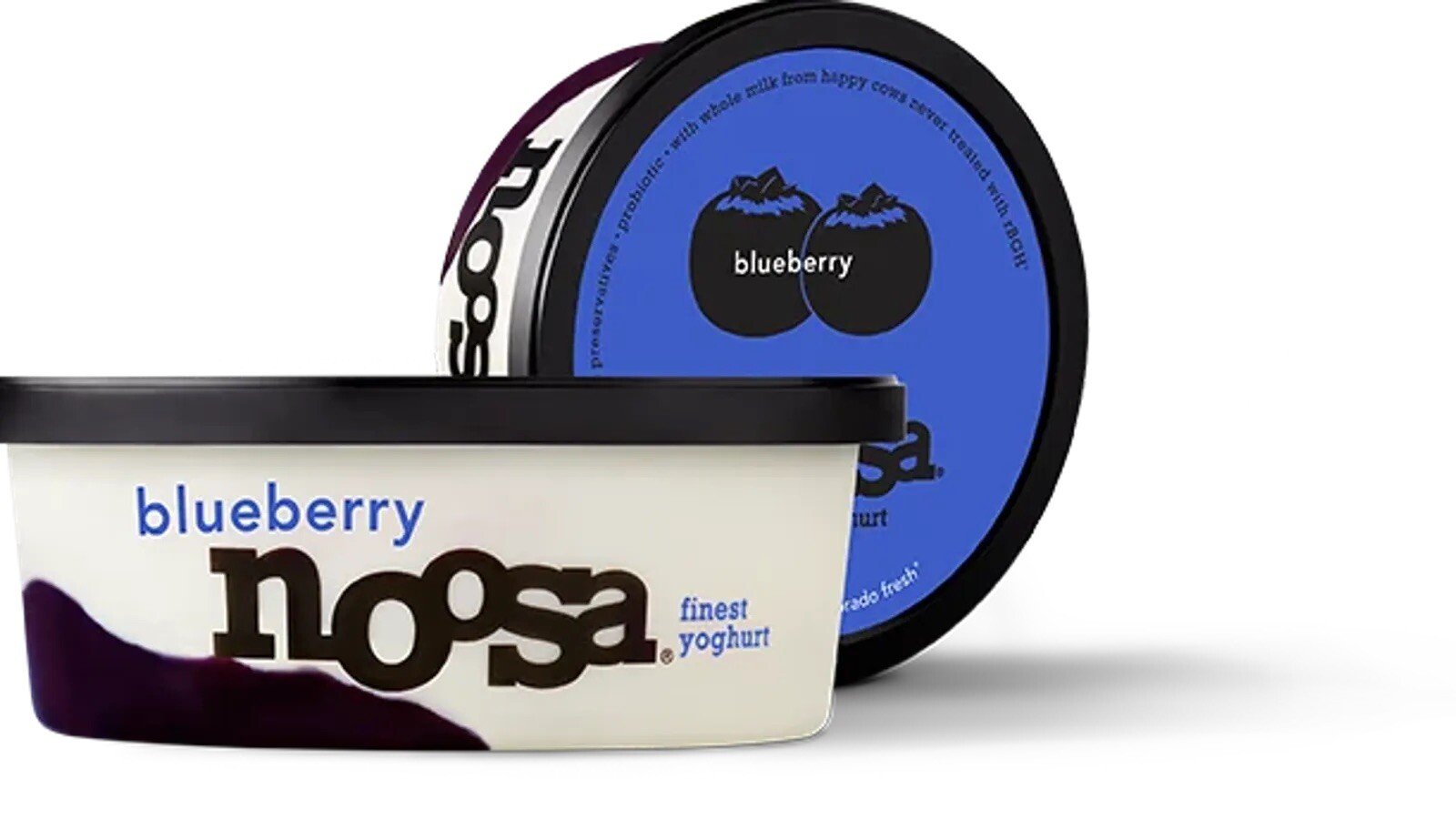 Noosa Yogurt Upside Down Blueberry